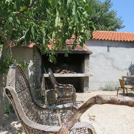 Galovac  Guesthouse Dila מראה חיצוני תמונה